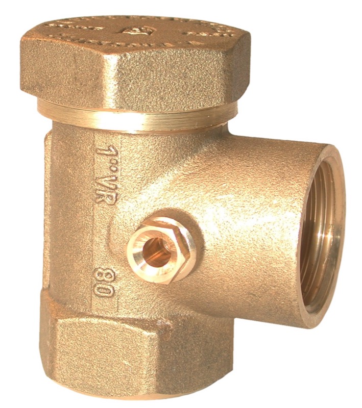 1-inch check valve