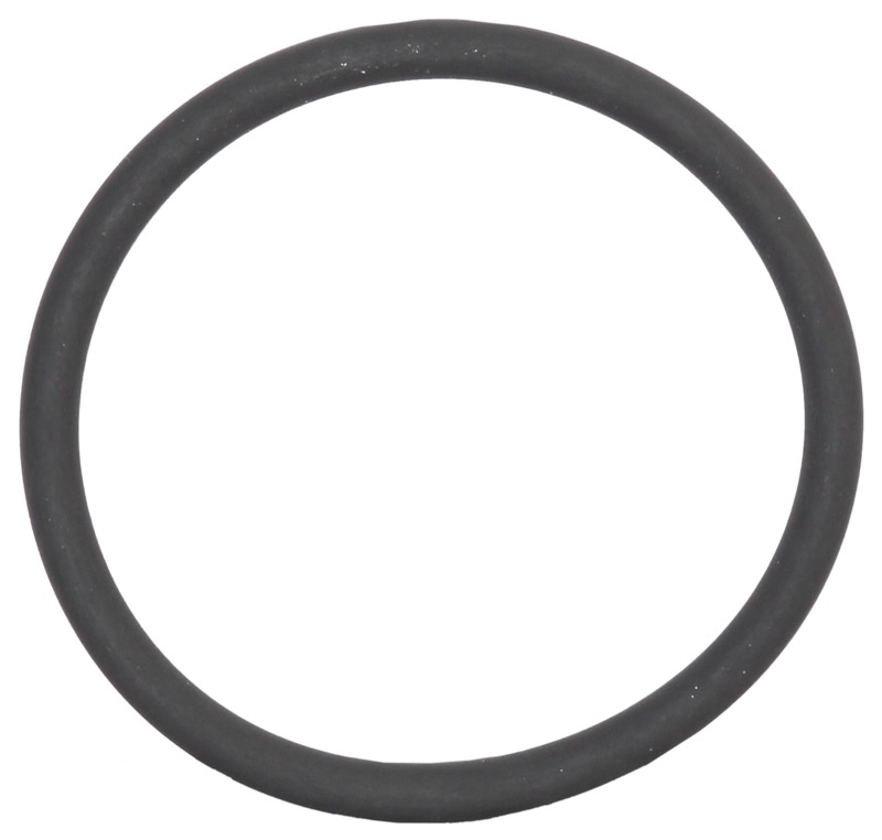 2-inch plug O-ring